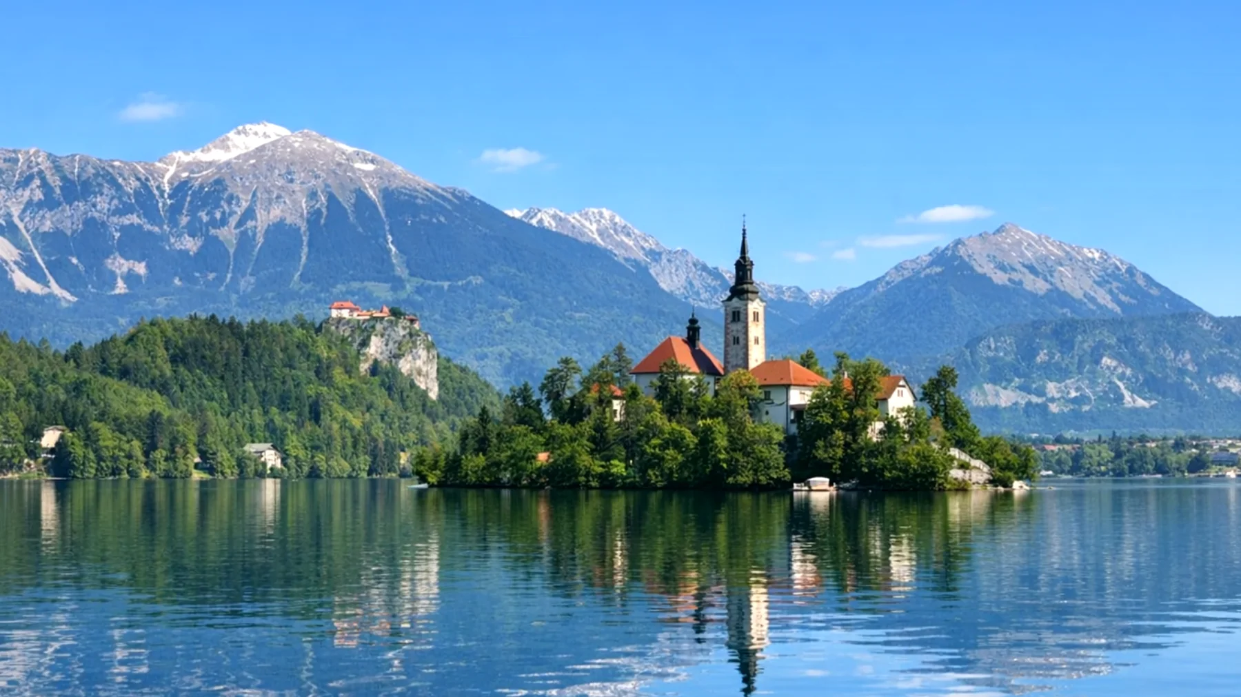 Bled"