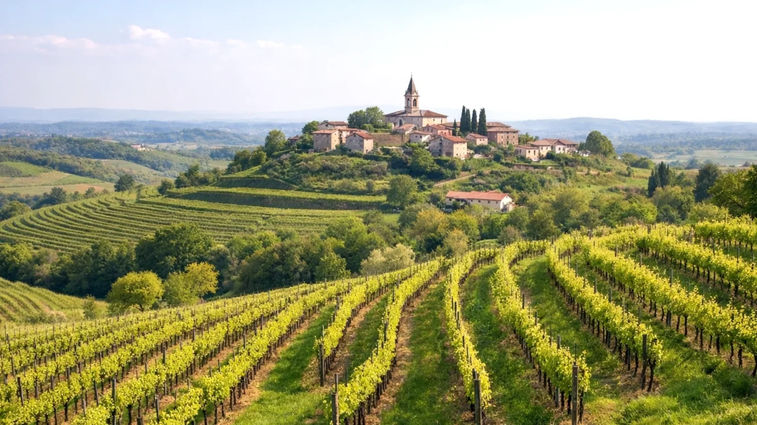 Collio Goriziano"